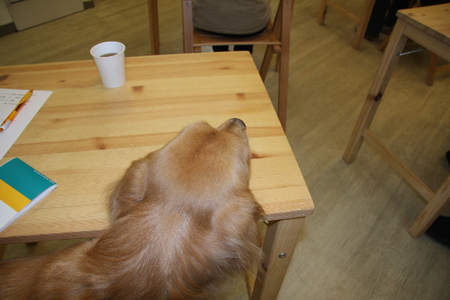 ファイル 1056-4.jpg