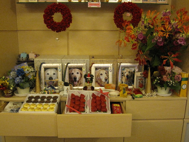 ファイル 1057-1.jpg