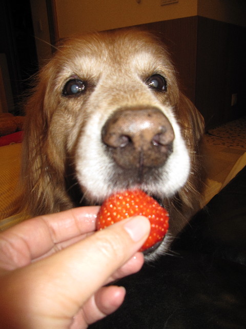 ファイル 1057-2.jpg