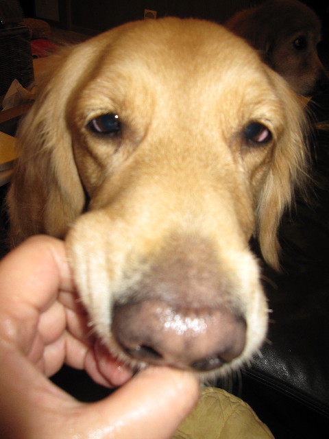 ファイル 1057-3.jpg