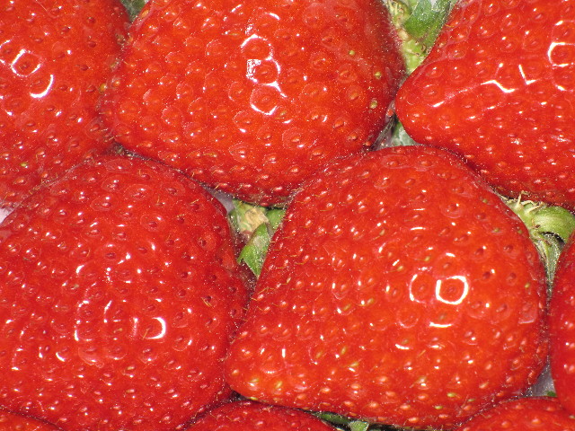 ファイル 1057-5.jpg