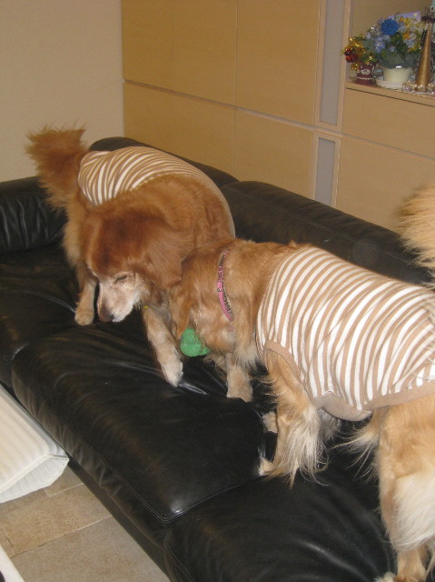 ファイル 1058-2.jpg