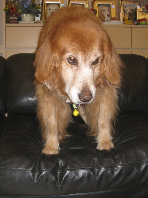 ファイル 1058-3.jpg