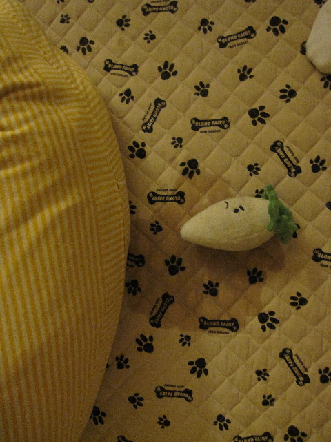 ファイル 1058-4.jpg