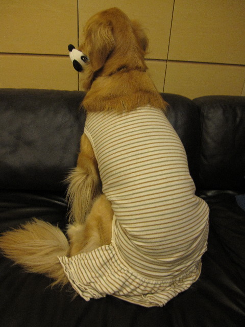 ファイル 1058-5.jpg