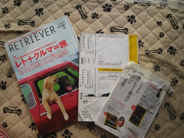 ファイル 106-1.jpg