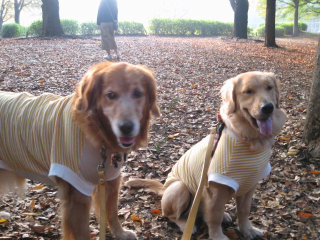 ファイル 106-4.jpg