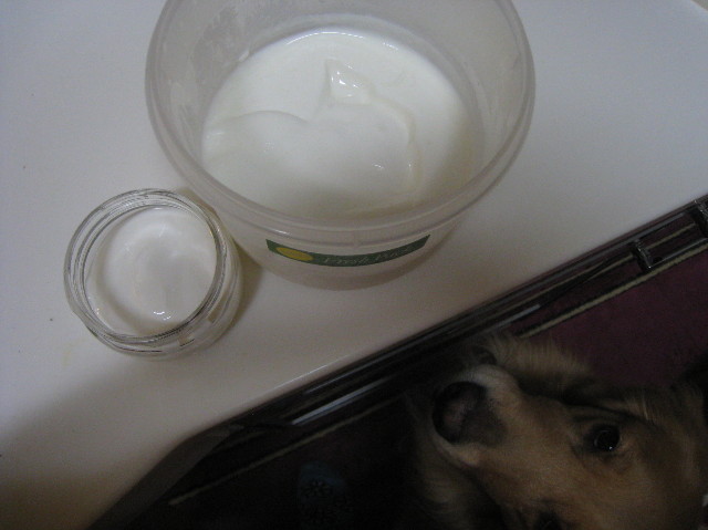 ファイル 1062-2.jpg