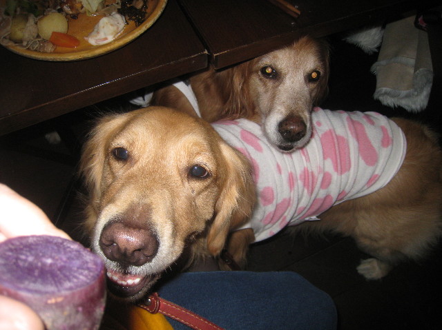 ファイル 1062-3.jpg