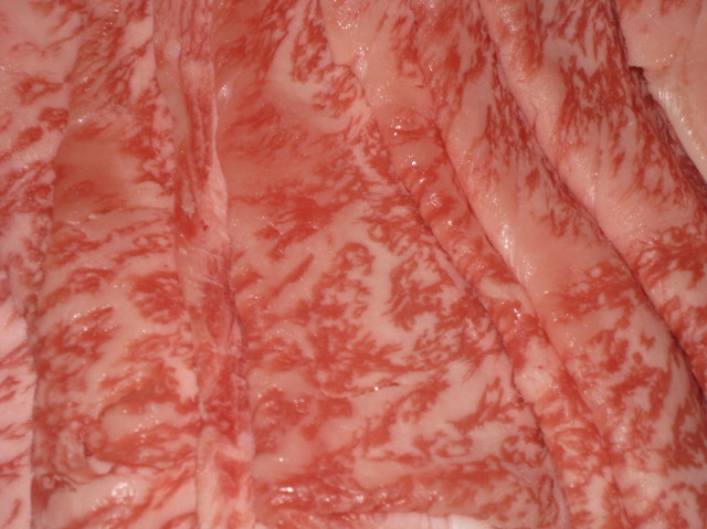 ファイル 1062-4.jpg