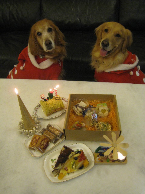 ファイル 1063-3.jpg