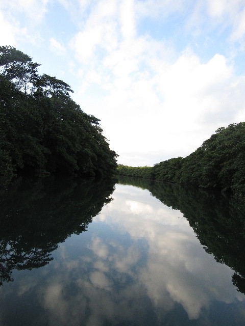 ファイル 1069-4.jpg