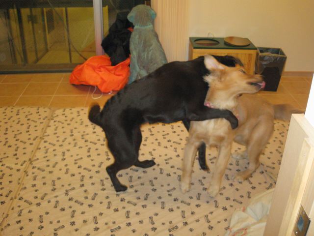 ファイル 107-3.jpg