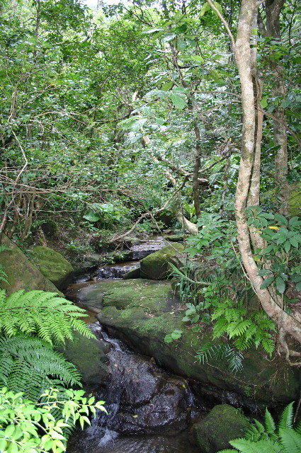 ファイル 1071-2.jpg