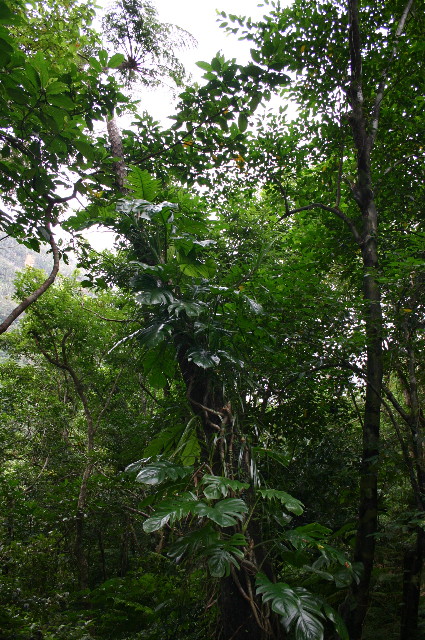 ファイル 1071-5.jpg