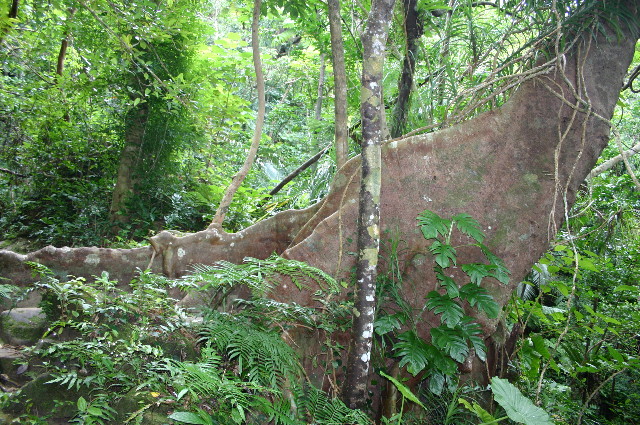 ファイル 1073-2.jpg