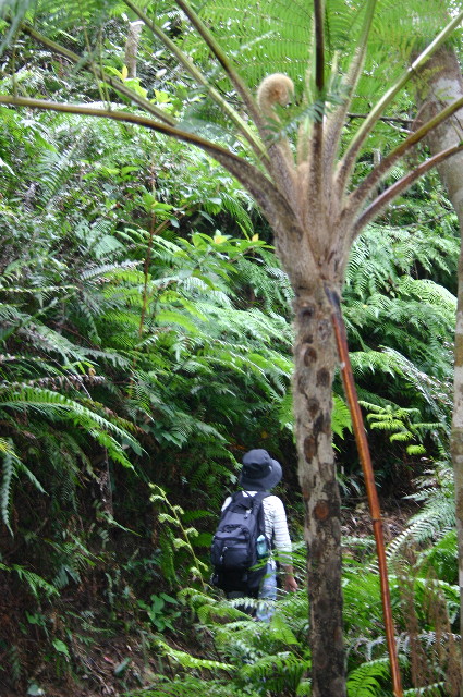 ファイル 1073-4.jpg