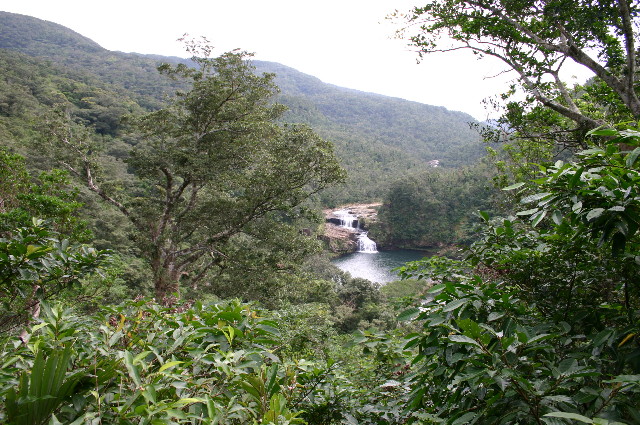 ファイル 1074-1.jpg