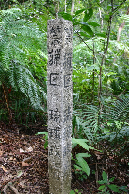 ファイル 1074-4.jpg