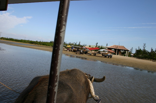 ファイル 1079-5.jpg