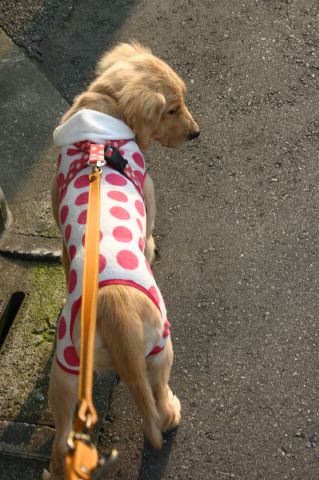 ファイル 108-2.jpg