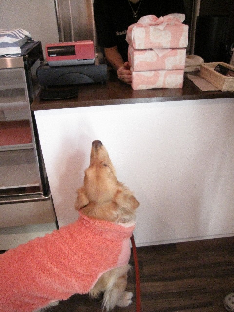 ファイル 1085-1.jpg