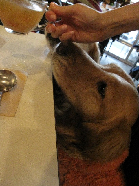 ファイル 1085-2.jpg