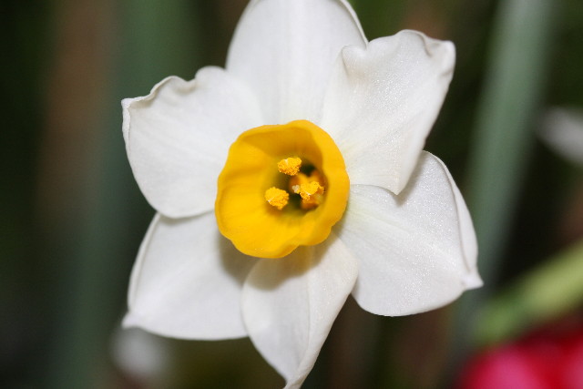 ファイル 1085-4.jpg