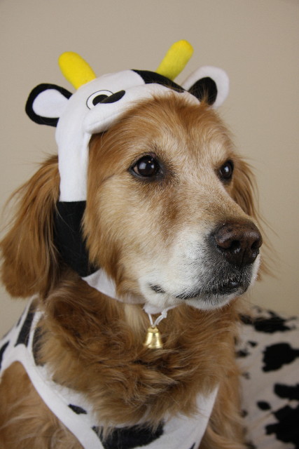 ファイル 1086-2.jpg