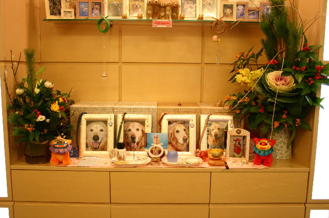 ファイル 1086-3.jpg