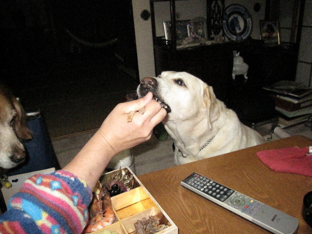 ファイル 1087-2.jpg