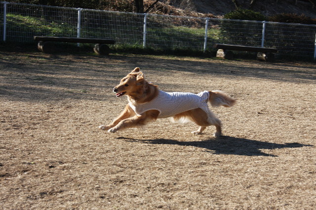 ファイル 1089-3.jpg