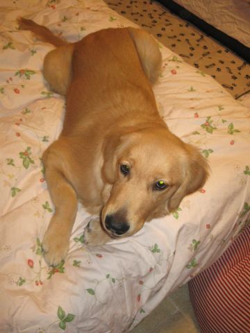 ファイル 109-2.jpg