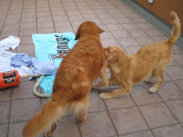 ファイル 109-3.jpg