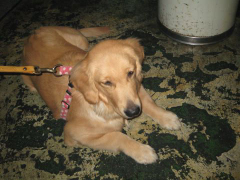 ファイル 109-4.jpg