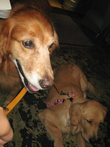 ファイル 109-5.jpg