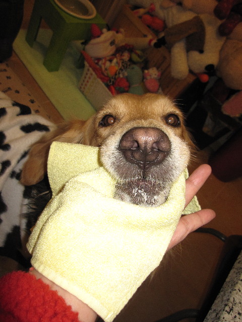 ファイル 1093-5.jpg