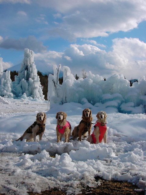 ファイル 1095-1.jpg