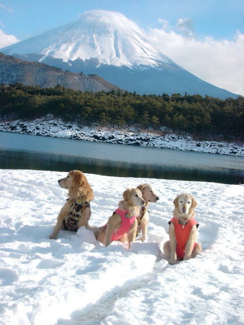 ファイル 1095-2.jpg