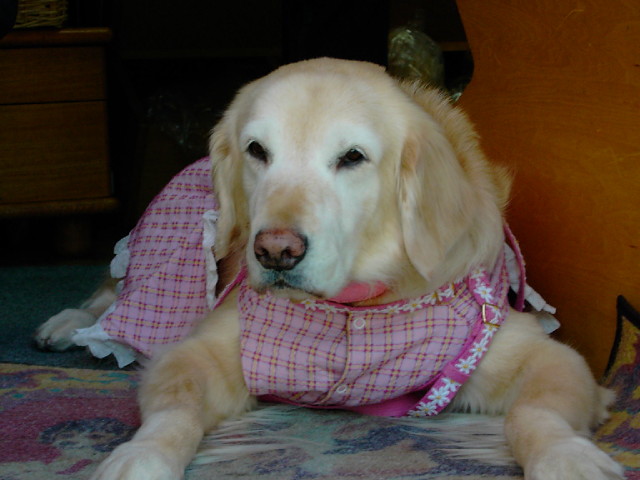 ファイル 1095-3.jpg