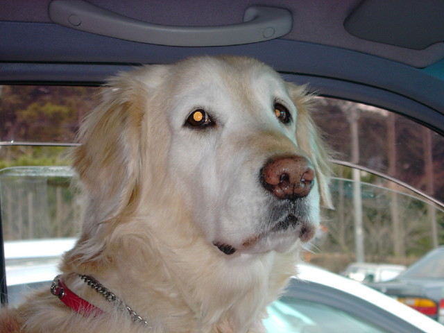 ファイル 1097-2.jpg