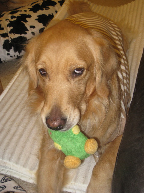 ファイル 1099-4.jpg