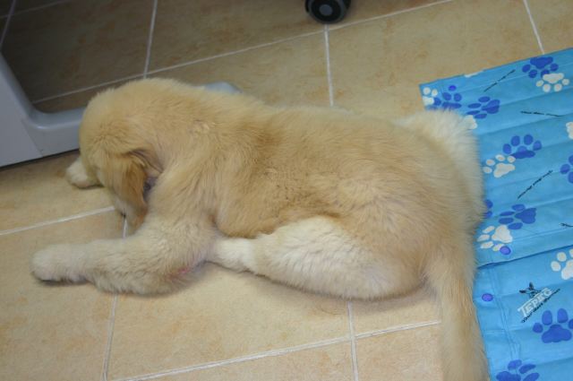 ファイル 11-1.jpg