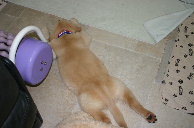 ファイル 11-2.jpg