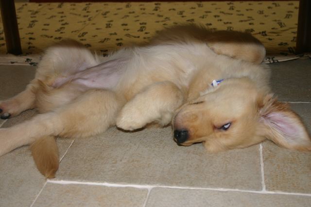 ファイル 11-3.jpg