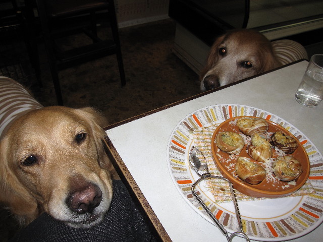 ファイル 1101-1.jpg