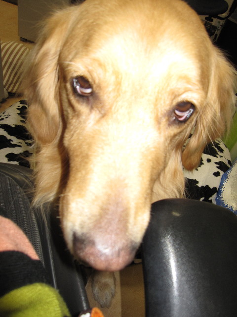 ファイル 1101-5.jpg