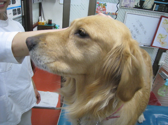 ファイル 1102-2.jpg