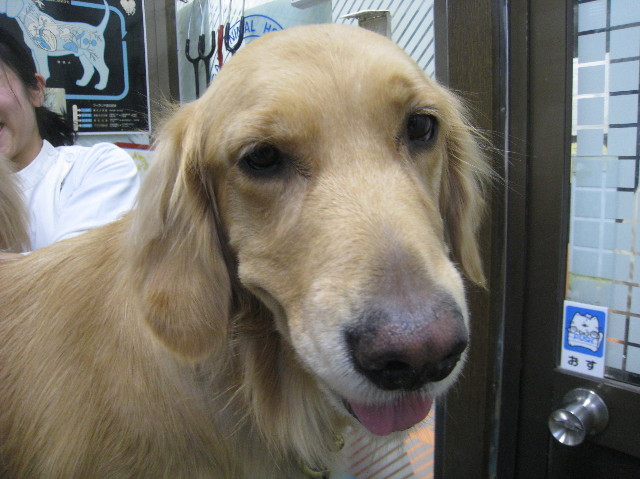 ファイル 1102-4.jpg