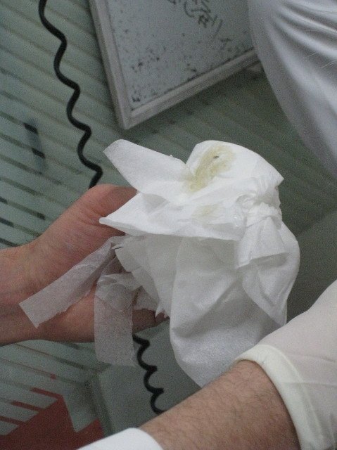 ファイル 1102-5.jpg